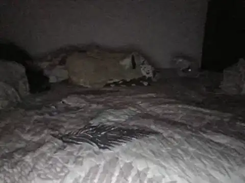 Snapshot of bscc chatting on January 31, 12:07 pm bscc online show from January 31, 12:07 pm