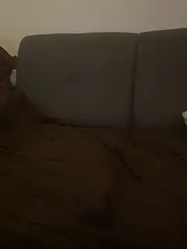 Snapshot of LionBoy1976 chatting on January 25, 4:13 am LionBoy1976 online show from January 25, 4:13 am