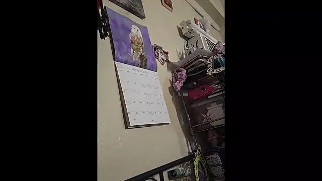 UncutHammer69 online show from September 19, 3:24 pm