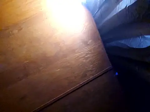 Snapshot of UncutHammer69 chatting on February 17, 3:29 pm UncutHammer69 online show from February 17, 3:29 pm