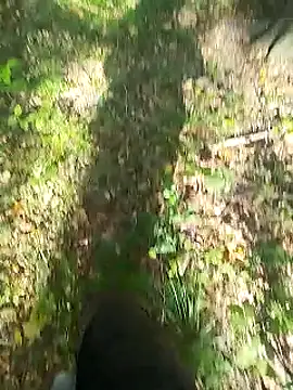 sarpe4 online show from September 14, 8:02 am