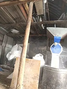 sarpe4 online show from January 8, 7:54 am