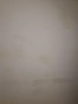 Adivaaa online show from October 16, 9:10 am