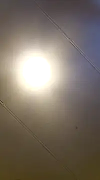 Snapshot of PinkTheHawk chatting on January 11, 10:07 pm PinkTheHawk online show from January 11, 10:07 pm