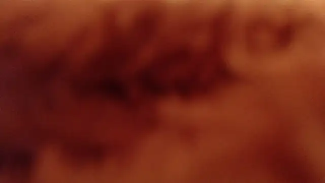 Snapshot of larawet chatting on January 4, 11:17 pm larawet online show from January 4, 11:17 pm