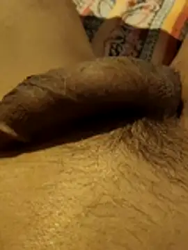 hq9870a online show from November 29, 5:54 am