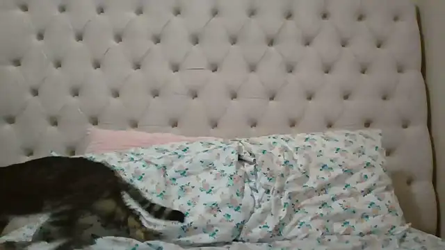 beautylovess online show from February 5, 11:42 pm