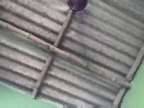 sujanmanda online show from September 23, 6:49 am