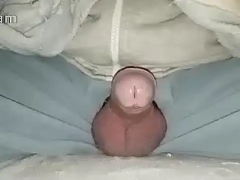 Snapshot of Bigdick666cm chatting on January 31, 6:47 pm Bigdick666cm online show from January 31, 6:47 pm