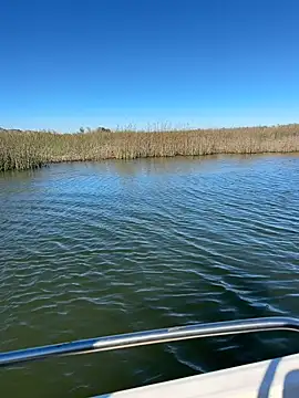 Goonwithoutclinching online show from January 10, 9:16 pm