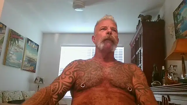 Snapshot of njdbear chatting on November 1, 9:17 pm njdbear online show from November 1, 9:17 pm
