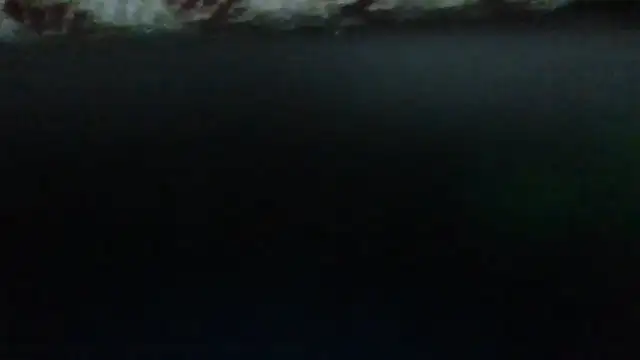 Leo Big online show from September 23, 11:19 pm