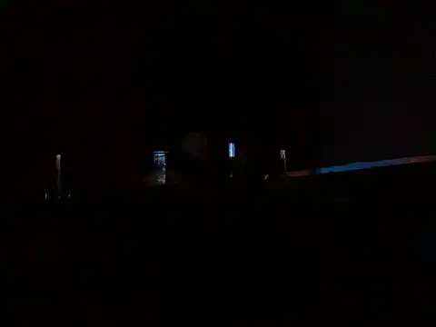 Snapshot of ZDRAVKICH chatting on December 30, 2:09 am ZDRAVKICH online show from December 30, 2:09 am