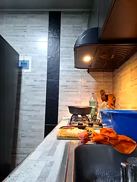 linda-schmidt online show from December 2, 8:48 pm