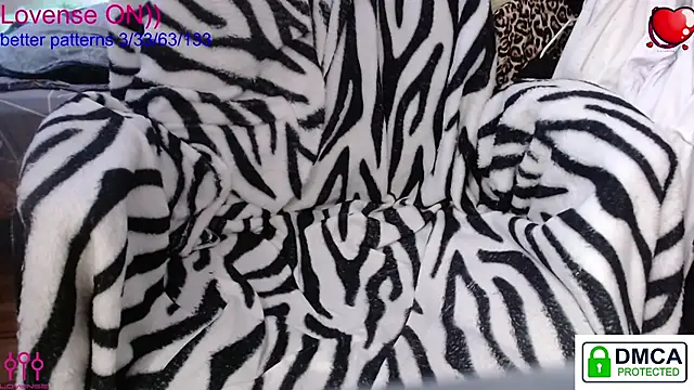 sweet cute cat online show from March 13, 10:55 am