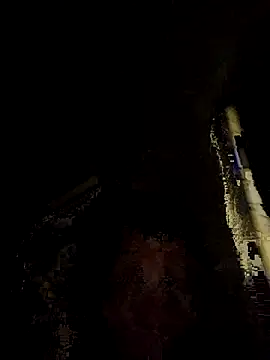 Snapshot of tropikboy chatting on November 25, 12:10 am tropikboy online show from November 25, 12:10 am