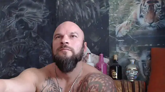 viking 30 online show from November 4, 7:51 am