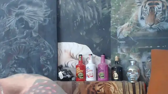 viking 30 online show from November 14, 7:51 am