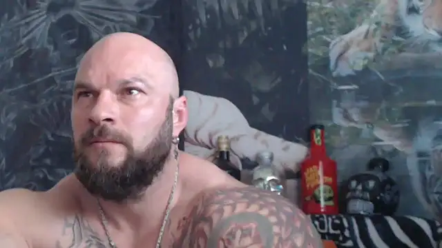 viking 30 online show from May 21, 6:42 am