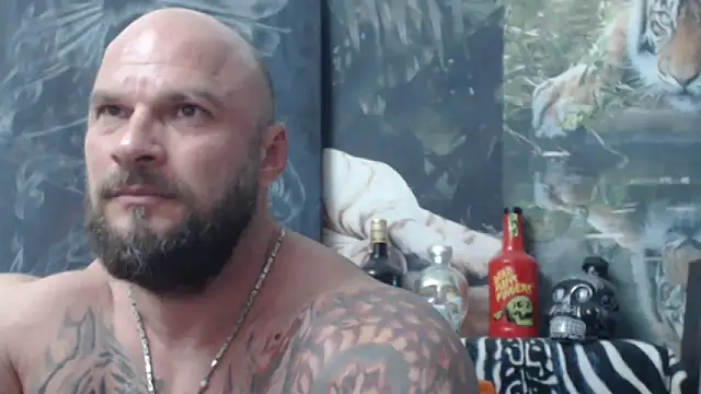 viking 30 online show from June 4, 6:36 pm
