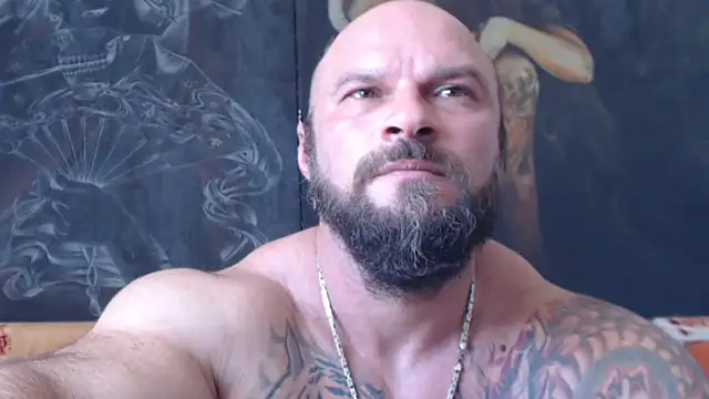 viking 30 online show from August 1, 10:47 am