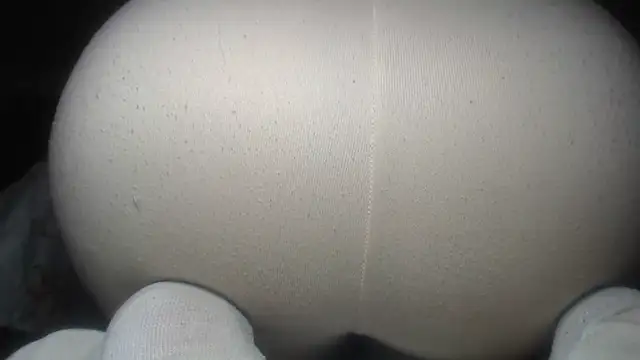 prettyangelsquirt online show from July 14, 2:49 am