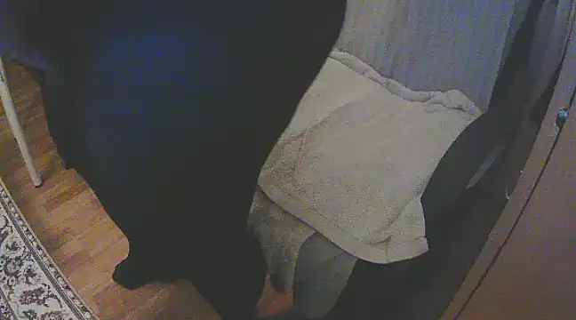 szadamo online show from December 11, 4:53 pm