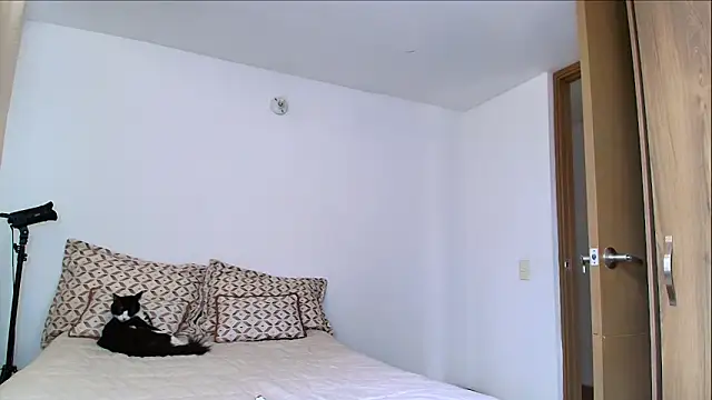 SARA TS FOX online show from February 11, 5:18 pm