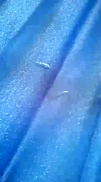 Snapshot of Luismiguel55 chatting on March 8, 10:11 am Luismiguel55 online show from March 8, 10:11 am