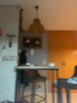 camelia3 online show from February 25, 12:42 am