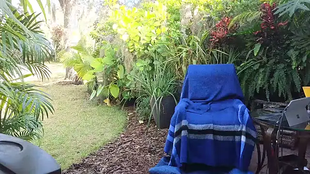 Snapshot of eliberator1777 chatting on December 10, 3:44 pm eliberator1777 online show from December 10, 3:44 pm