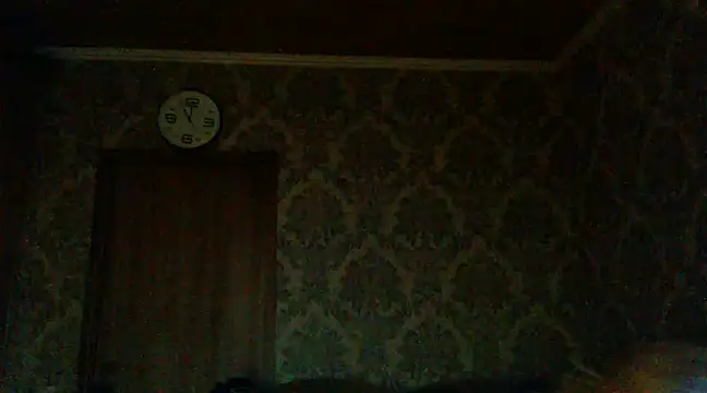 WildMissNiks online show from December 2, 9:02 am