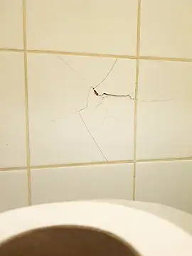 Sripandara1 online show from March 22, 10:26 pm