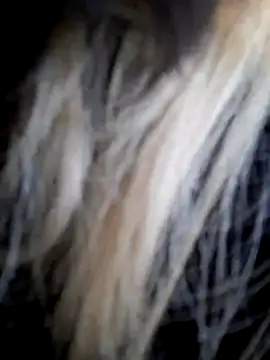 Dirtyfeelin online show from December 14, 11:59 am