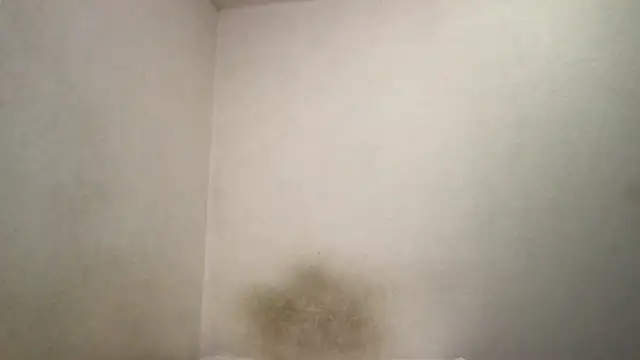 Magicwordsforme online show from March 15, 12:25 am