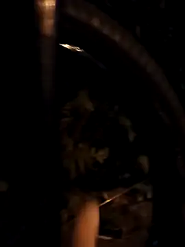 Snapshot of FireFox_Feel chatting on March 11, 8:20 pm FireFox Feel online show from March 11, 8:20 pm