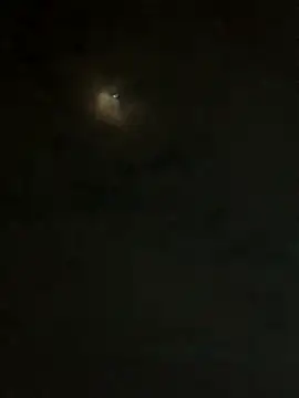 Snapshot of jesusthedonkey chatting on November 30, 1:31 am jesusthedonkey online show from November 30, 1:31 am