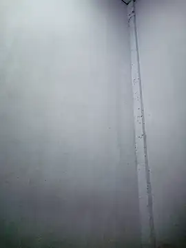 TropicalFlower online show from December 16, 10:31 am