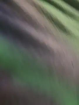 K100x online show from November 15, 2:31 am