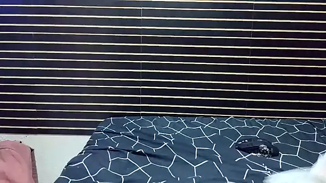 KrikaCat online show from February 23, 1:41 pm