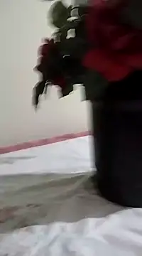 catdool online show from January 23, 3:26 am