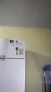 catdool online show from February 14, 10:07 am