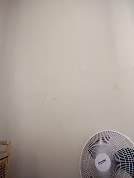 catdool online show from February 27, 12:02 pm