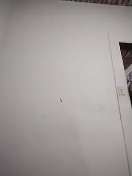 catdool online show from February 6, 10:35 pm