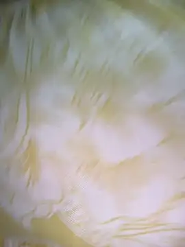 Dhiyapink online show from December 2, 6:41 am