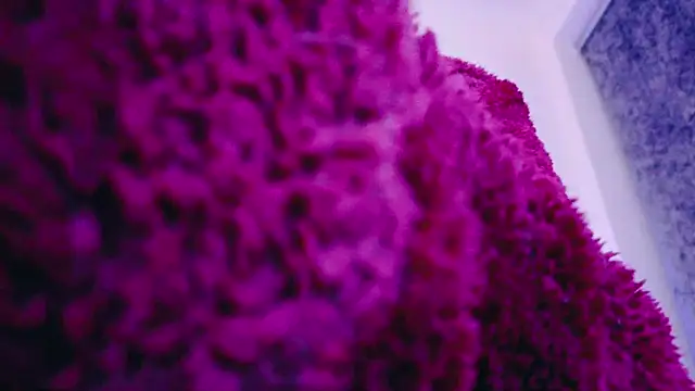 FemDom RubyKnightXXO online show from March 18, 8:37 pm