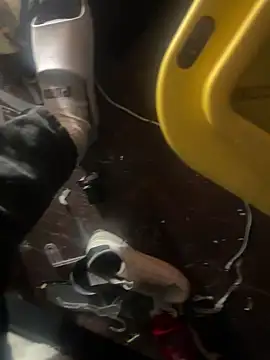 Snapshot of Exclusivenutxxx chatting on January 23, 6:56 pm Exclusivenutxxx online show from January 23, 6:56 pm