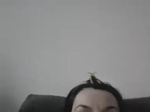 Snapshot of FallenDevil chatting on March 7, 4:00 pm FallenDevil online show from March 7, 4:00 pm