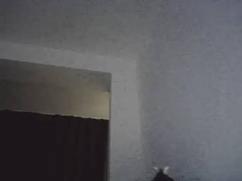 FallenDevil online show from March 13, 7:09 pm