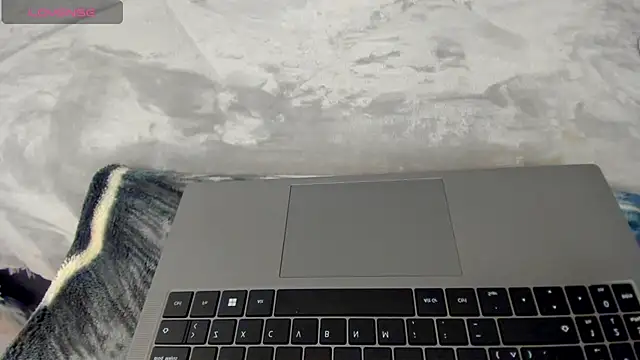 Dephne   online show from December 4, 2:10 am